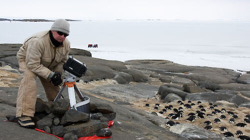 Electronics technician with penguin monitoring remote camera and Adelie penguin nesting nearby