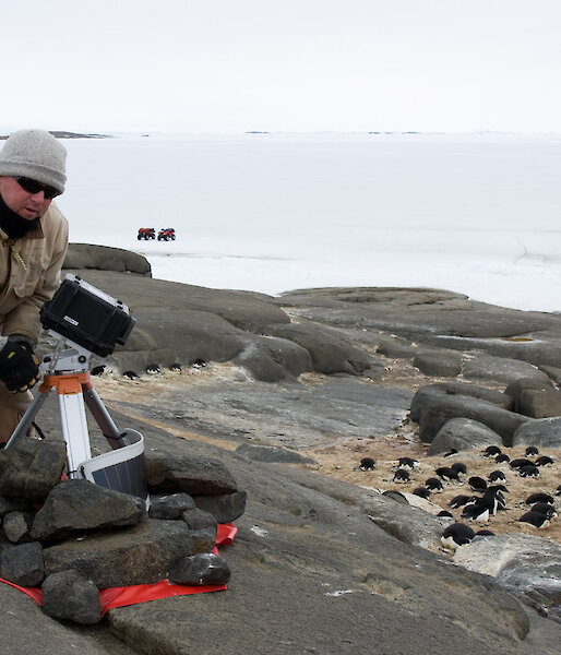 Electronics technician with penguin monitoring remote camera and Adelie penguin nesting nearby