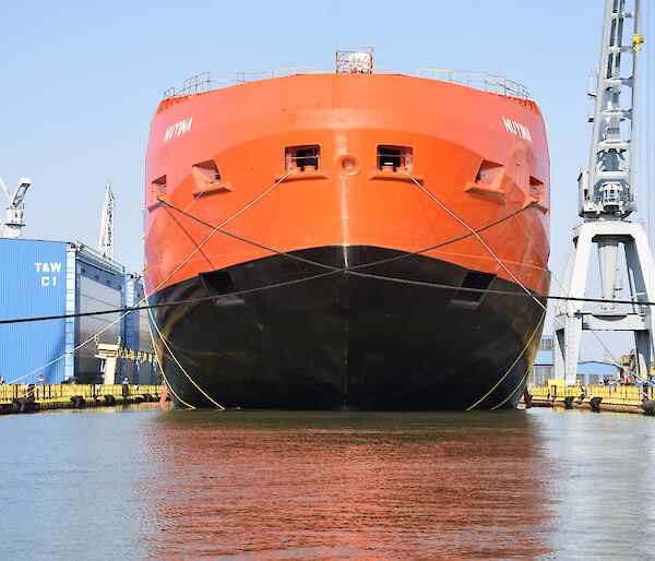 The Nuyina in her final position in the wet dock.