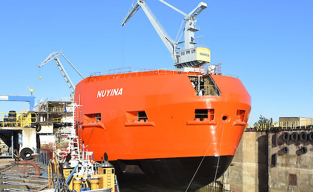 Bow of Nuyina in wet dock.