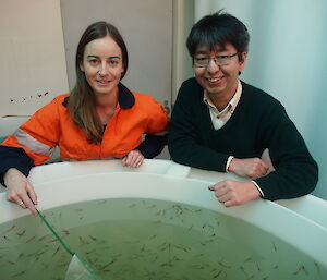 Jessica Ericson and Antarctic Division krill biologist Dr So Kawaguchi standing at a krill tank.