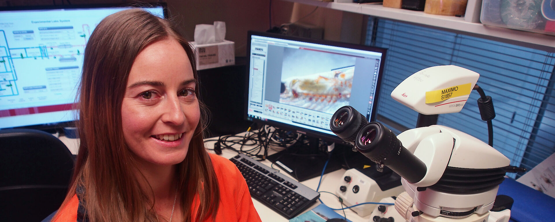 Jessica Ericson at the microscope in the Antarctic Division’s krill laboratory.