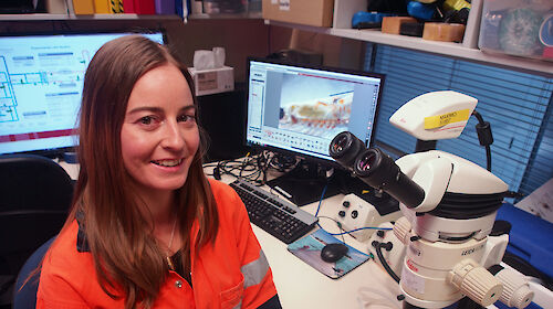 Jessica Ericson at the microscope in the Antarctic Division’s krill laboratory.