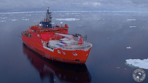 Aurora Australis