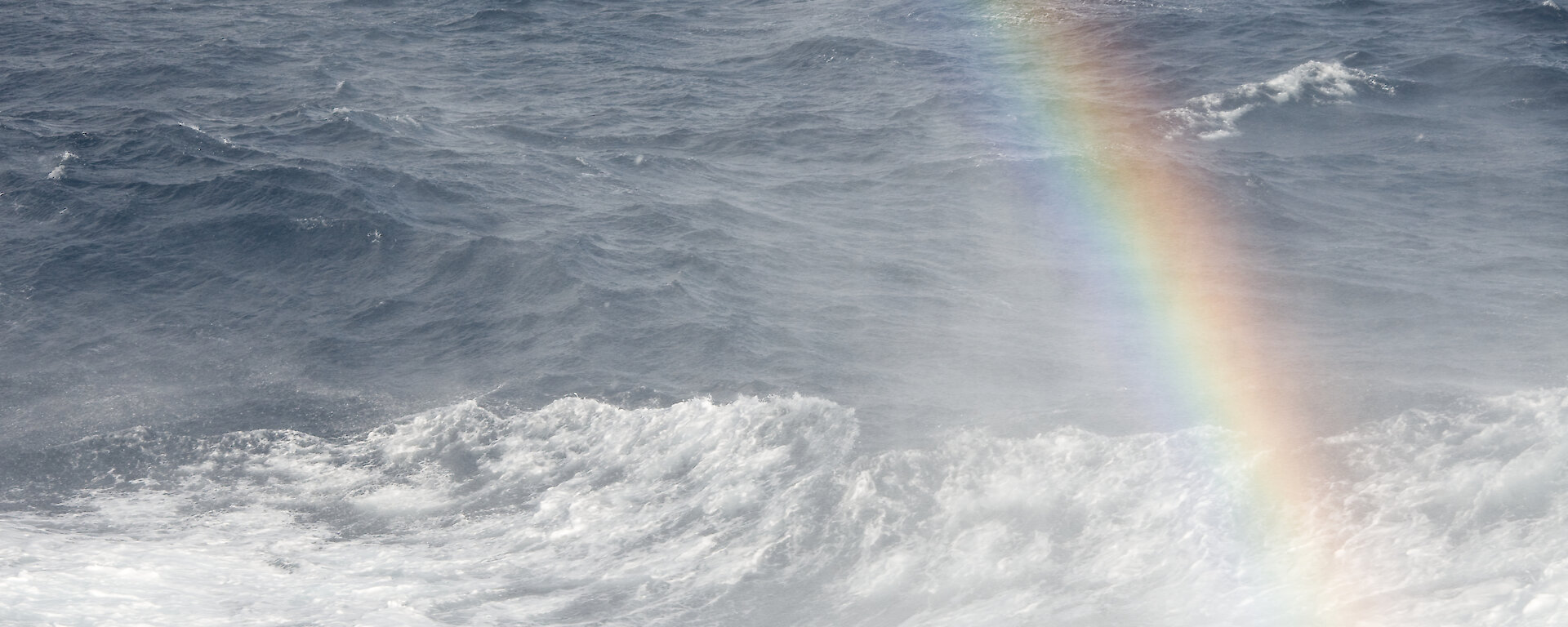rainbow in sea spray