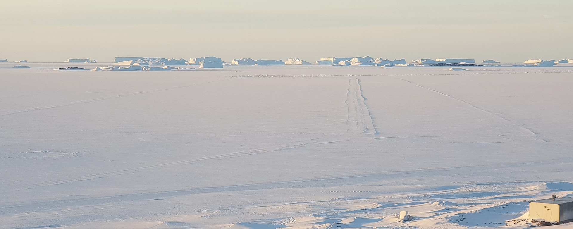 Soft light on the sea ice and icebergs outside Davis station.