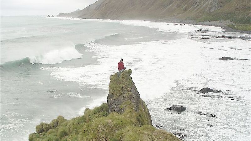 Expeditioner atop a rocky hill on Macquarie Island