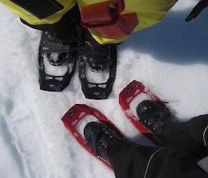 Snow shoes on Mike’s and Fiona’s feet