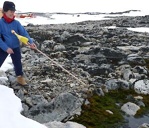 Scientist looking over moss bed