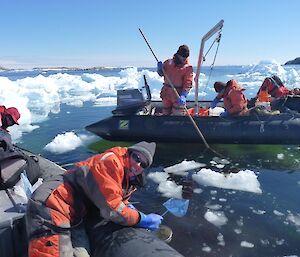 Expeditioners taking marine science samples at Beall Island