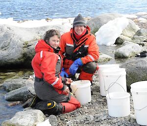 Scientists doing field work with white buckets lined up to sort through live invertebrates