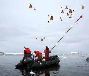 Photoshopped picture of butterflies fluttering around the inflatable boat