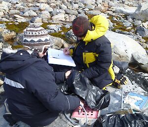 Two expeditioners in the field ecording results