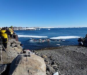 Expeditioners run into the freezing water while others watch the Australia Day swim