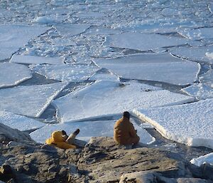 People viewing ‘pancake ice'