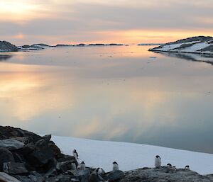 A sunset reflecting on the ice with penguins in foreground