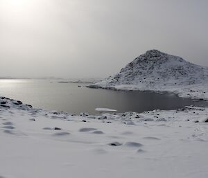 Wallow 1 under snow cover