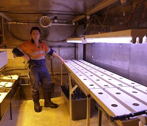 Expeditioner building benches for the seedling beds