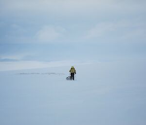 Misty walking towards camera in full gear pulling a sled, surrounded by snow and ice