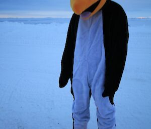 Relay for Life, expeditioner dressed as a penguin