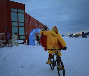 Relay for Life expeditioner dressed as a chicken and riding a bike