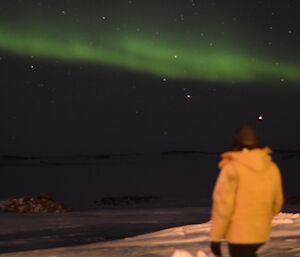 Aurora with expeditioner looking into sky. Photo taken from behind