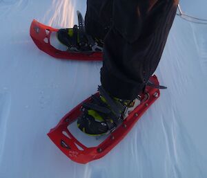 A close up of modern snow shoes