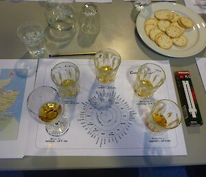 Whisky tasting wheel