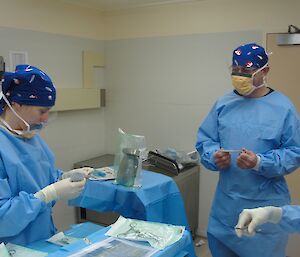 Dave and Bri assisting Doc Sheri in the surgery
