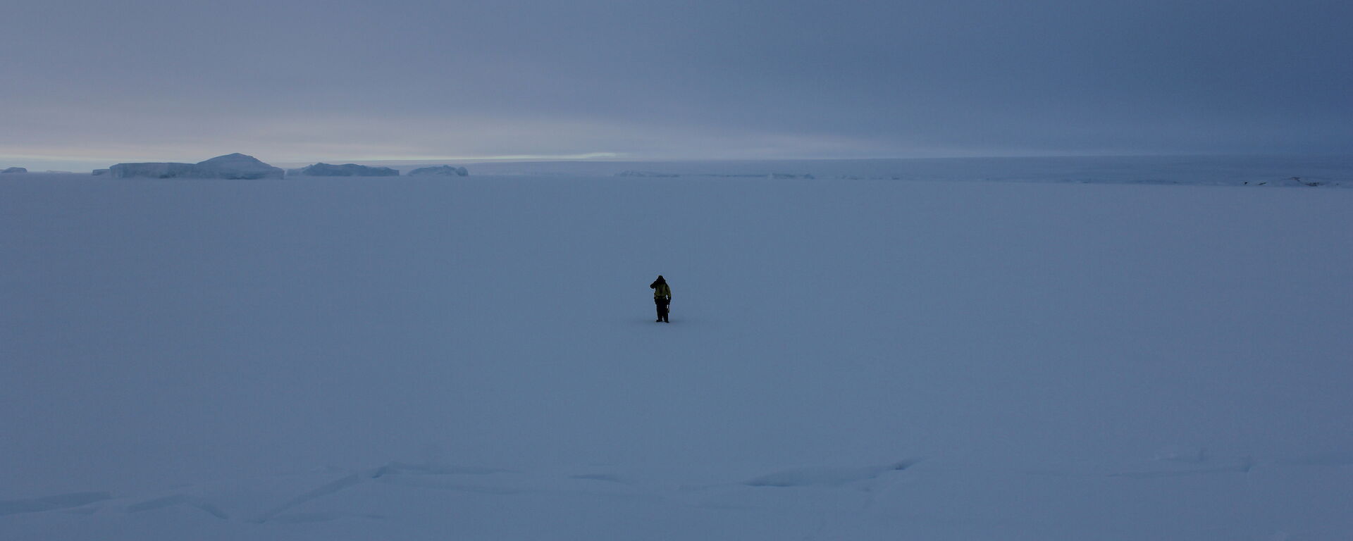 Alone on the sea ice