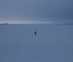Alone on the sea ice