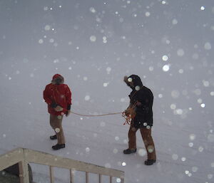 Cam and Jeb roped up to attend to an alarm in a blizzard