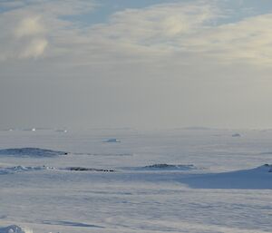Sea ice as far as the eye can see on Newcomb Bay