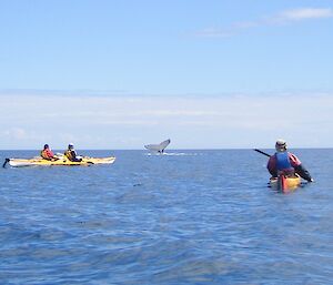 Mark kayaking off Fraser island with his daughter