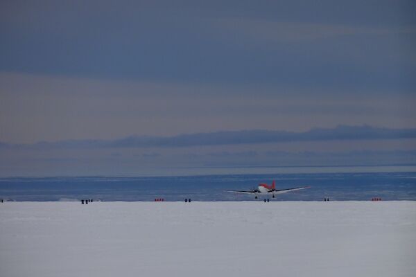 Basler DC-3 that flies the ICECAP surveys coming in to land at the Casey Ski Landing Area