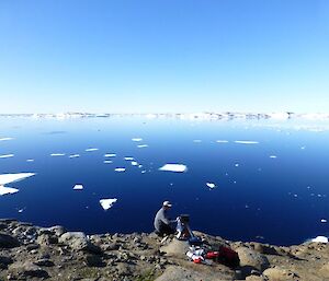 Checking the remote cameras on Ardery Island