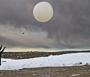 An expeditioner releases a weather balloon