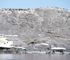 Approaching the penguin colony