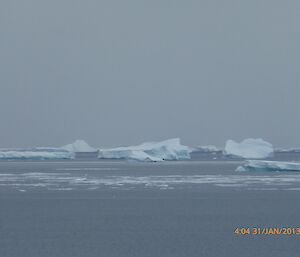 View of the Ocean and icebergs from the bow window of the Red shed