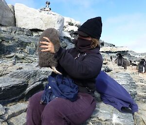 Louise holding up an Adélie chick