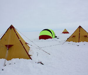 Four polar tents