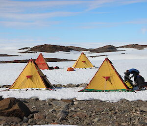 Four polar tents