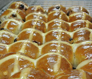 Hot cross buns