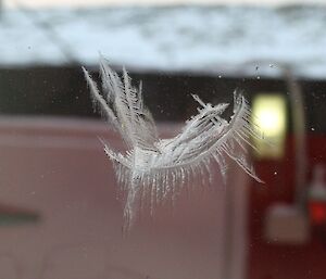 Ice crystals forming in-between the glass windows