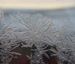 Ice crystals forming flower shapes