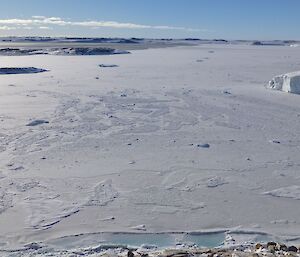 Picture of Newcombe Bay sea ice