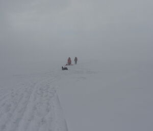 Visibility and suface definition reduced by incoming snow with a few SAR member approaching from a distant