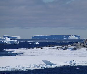 Icebergs in Newcomb Bay, Casey, sea ice in the foreground