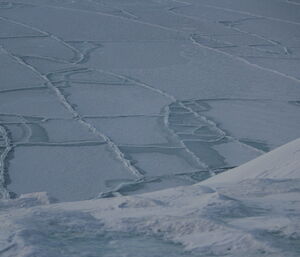 Sea ice forming