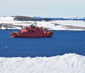 Aurora Australis, a red ice breaker ship, anchored in Newcomb Bay